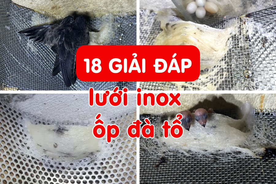 Giải đáp về lưới inox 304