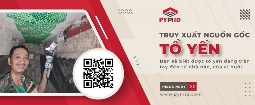 Pymid