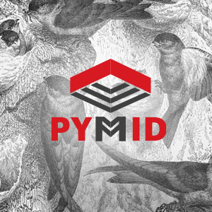 Pymid