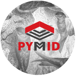Pymid