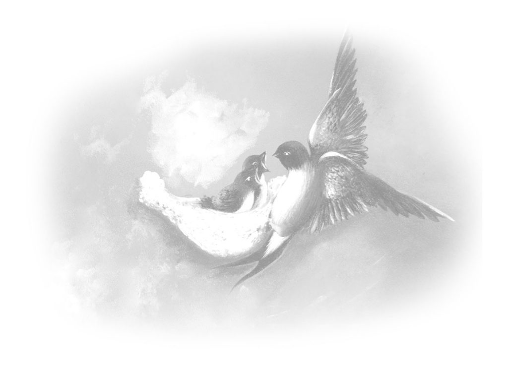 Pymid
