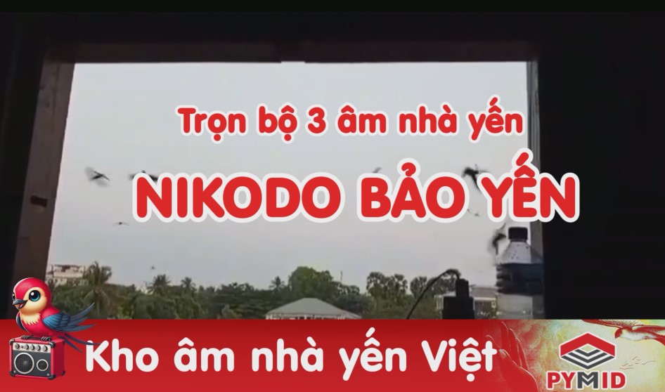 Trọn bộ 3 âm thanh nhà yến NIKODO Bảo Yến