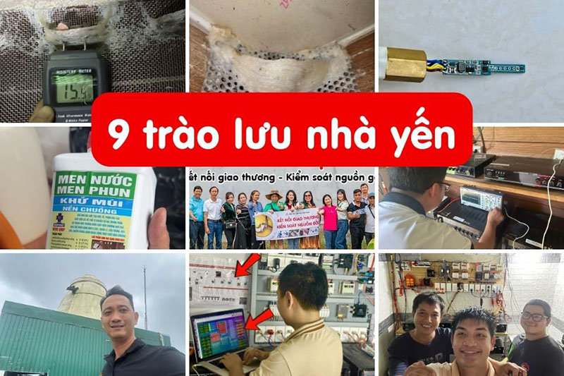 9 trào lưu nhà yến