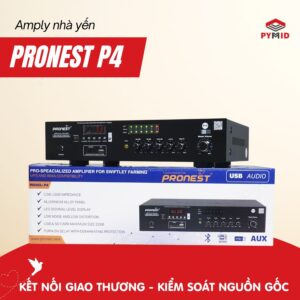 Amply Pronest P4