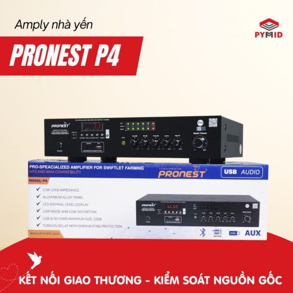 Amply Pronest P4