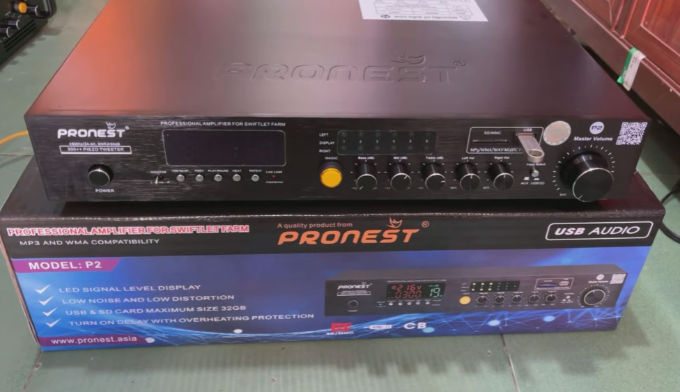 Amply pronest p2