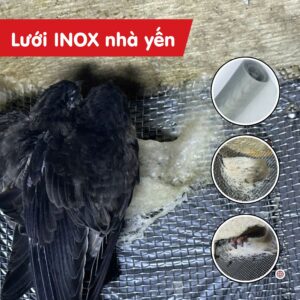 Lưới inox nhà yến