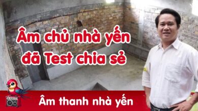Âm chủ nhà yến