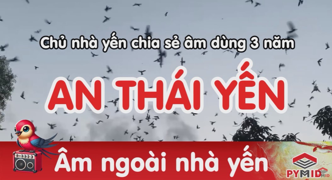 Âm ngoài An Thái Yến