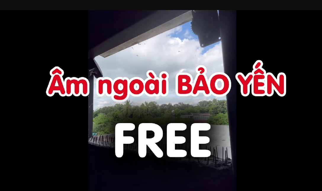 Âm ngoài bảo yến Free 2026