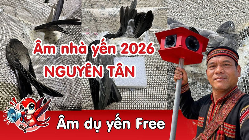 Âm ngoài nguyên tân 2026