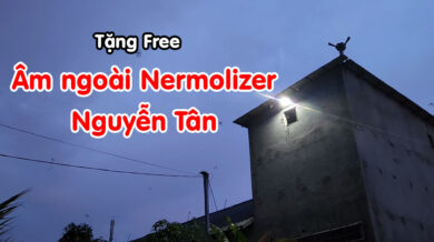 Âm ngoài Nermolizer của Nguyên Tân