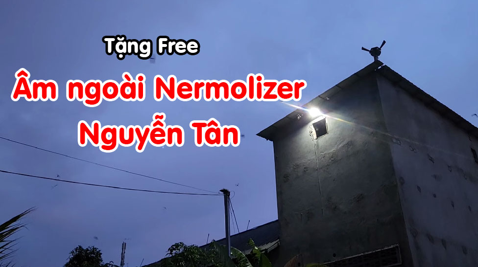 Âm ngoài Nermolizer của Nguyên Tân
