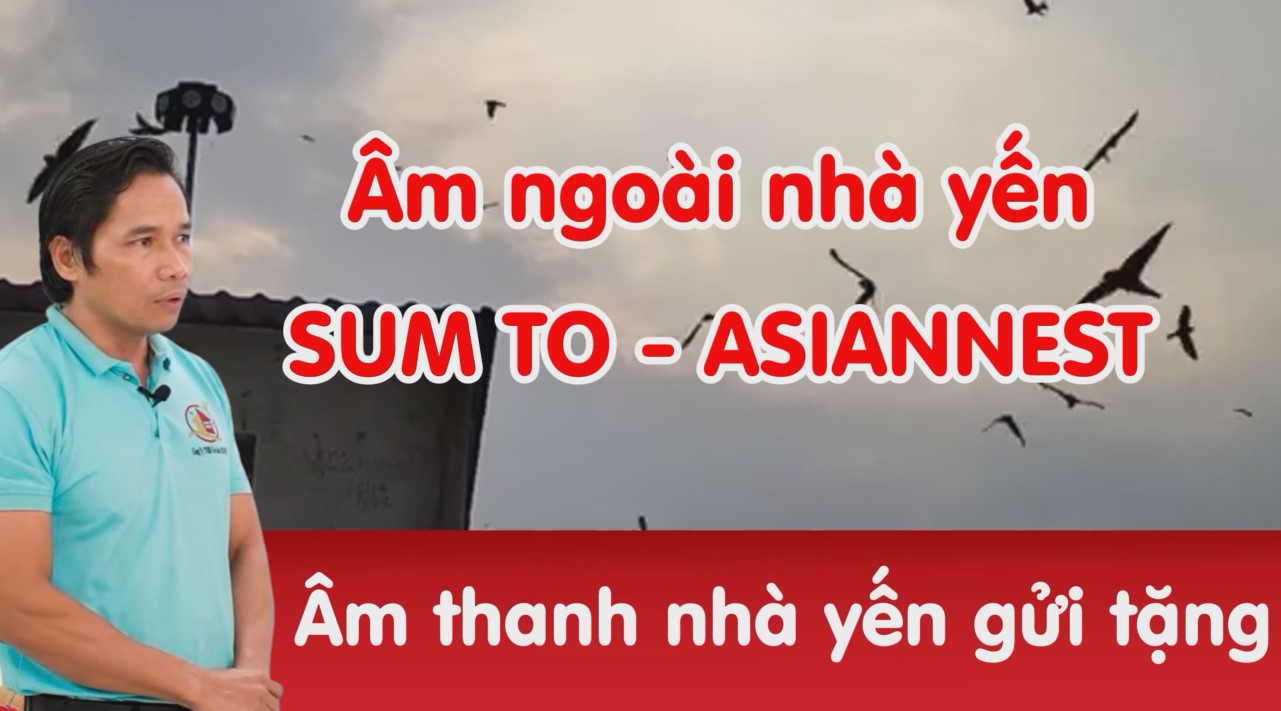 Âm ngoài nhà yến Asiannest - Sumto