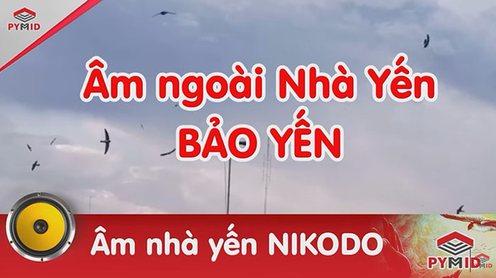 Âm ngoài nhà yến Bảo Yến - Nikodo