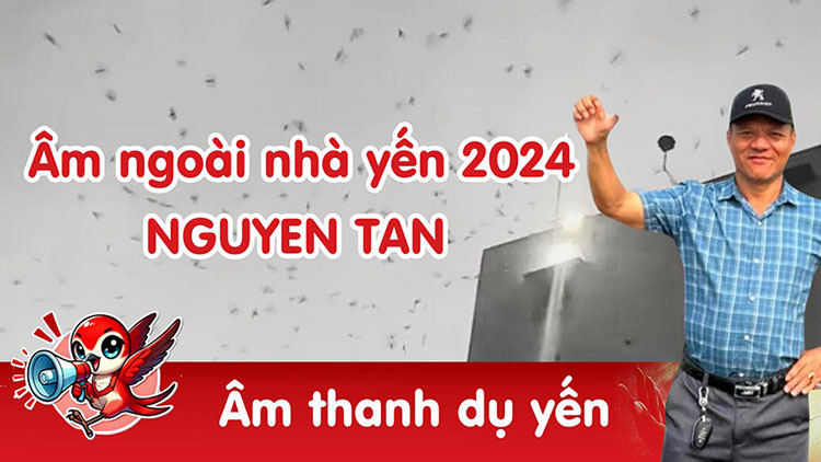 Âm ngoài nhà yến Nguyên Tân chia sẻ năm 2024