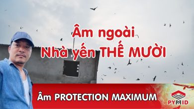 PROTECTION MAXIMUM - âm ngoài nhà yến thế mười