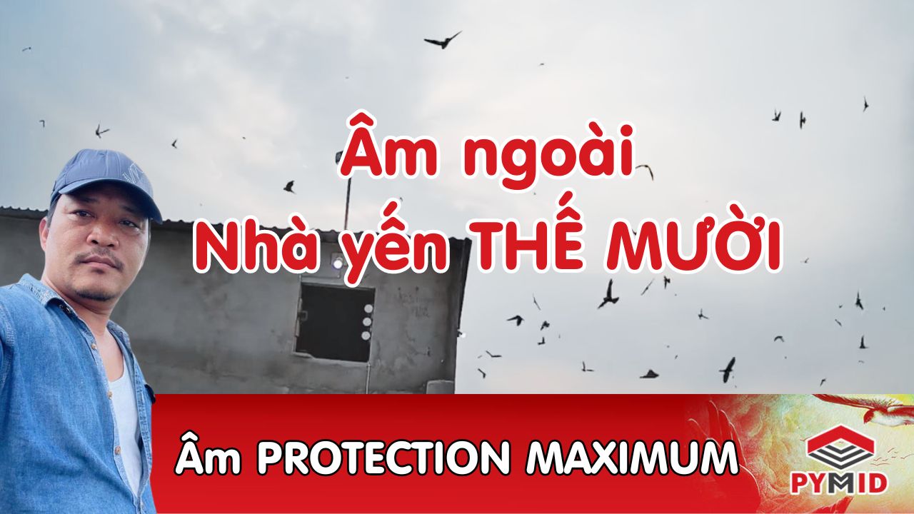 PROTECTION MAXIMUM - âm ngoài nhà yến thế mười