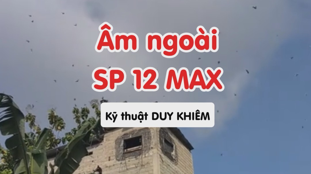Âm ngoài SP 12 Max - Duy khiêm tuy hòa phú yên
