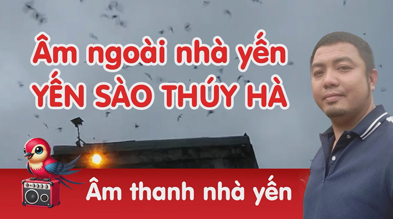 Âm thanh nhà yến Thúy Hà