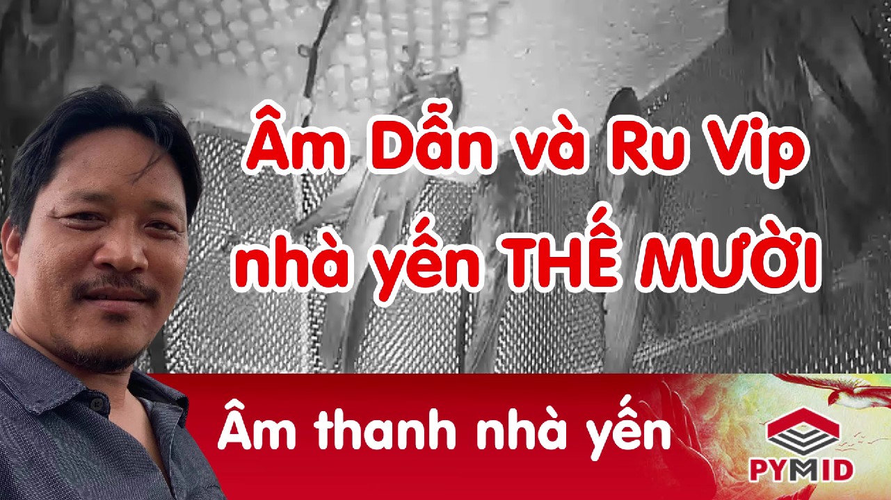 Âm thanh nhà yến thế mười - Âm dẫn nhà yến thế mười