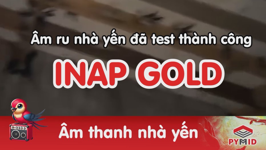 Âm ru nhà yến Inap Gold đã test thành công tại Bình Thuận