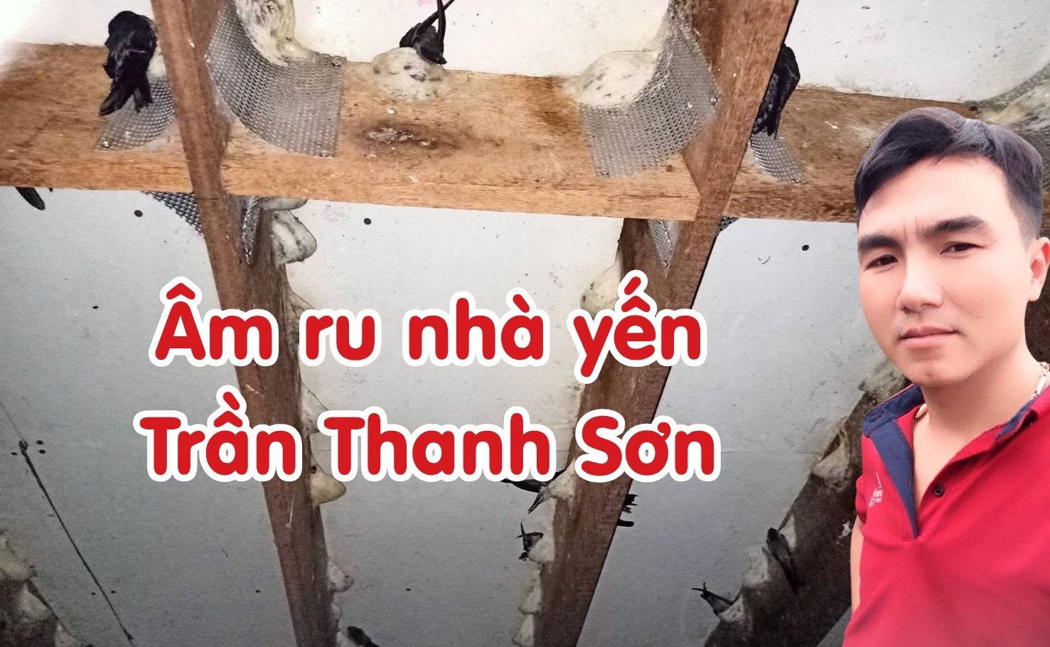 Âm ru nhà yến Trần Thanh Sơn
