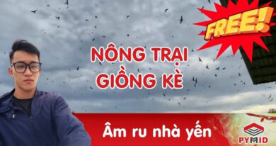 Âm ru nhà yến nông trại giồng kè