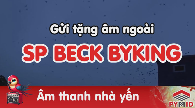 Âm thanh nhà yến Sp Beck Byking - Bảo yến nikodo