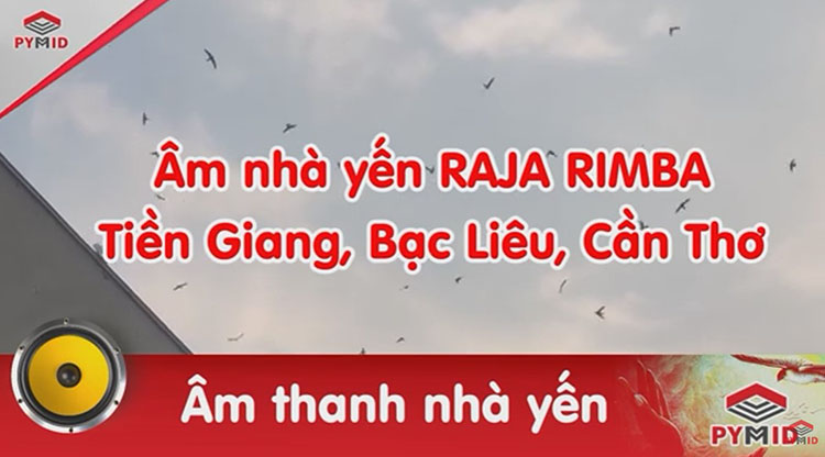 Âm thanh nhà yến tiền giang, bạc liêu, cần thơ RAJA RIMBA