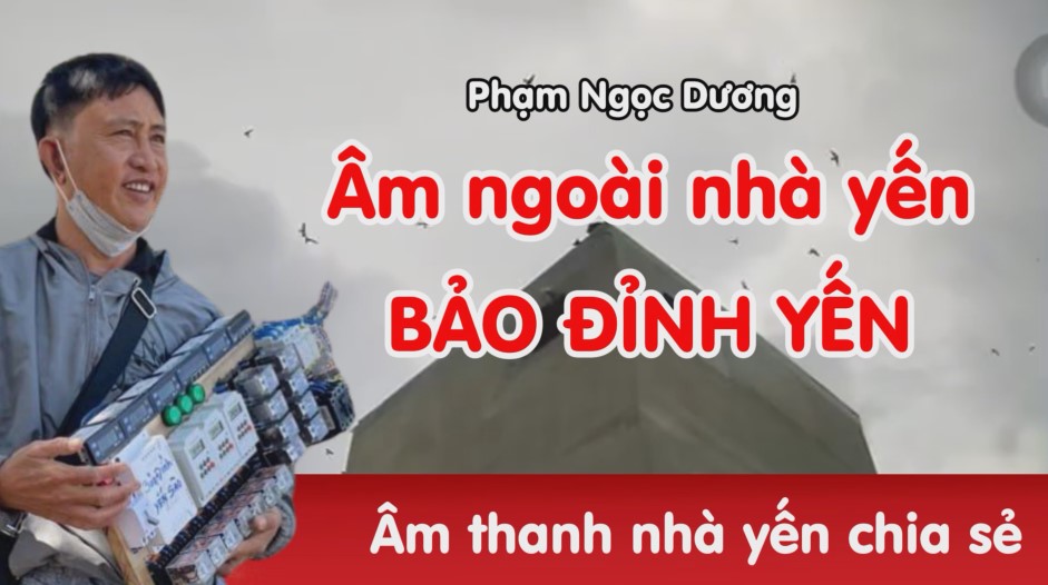 Âm thanh nhà yến Bảo Đỉnh Yến - Kỹ thuật dụ yến Phạm Ngọc Dương