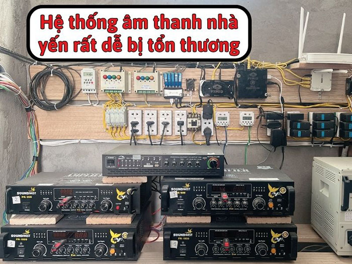 Âm thanh nhà yến dễ bị tổn thương