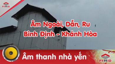 Âm thanh nhà yến bình định, khánh hòa