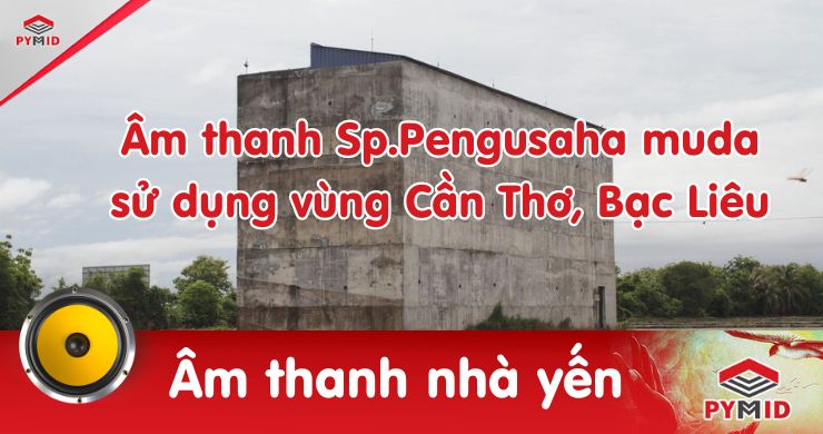 Âm thanh nhà yến Cần Thơ