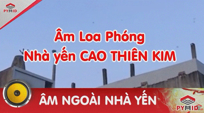 Âm thanh nhà yến cao thiên kim