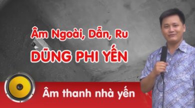 Âm thanh nhà yến Dũng Phi Yến