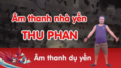 âm thanh nhà yến của kỹ thuật thu phan (Âm ngoài)