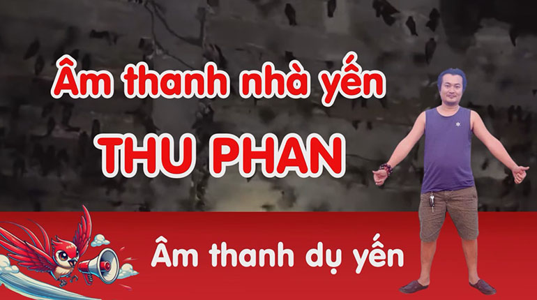 âm thanh nhà yến của kỹ thuật thu phan (Âm ngoài)