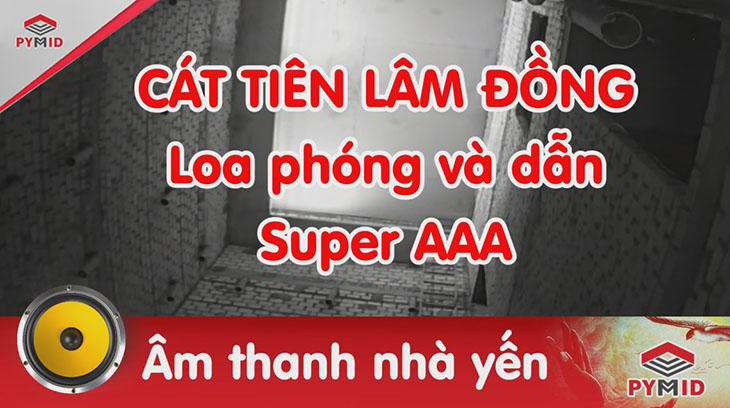 Âm thanh nhà yến Lâm Đồng