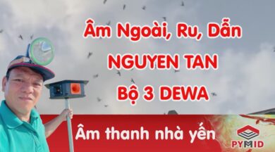 Bộ 3 âm thanh nhà yến Nguyên Tân - Dewa Indonesia