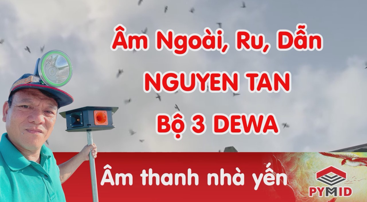 Bộ 3 âm thanh nhà yến Nguyên Tân - Dewa Indonesia