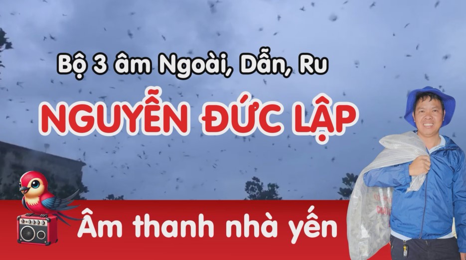 Âm thanh nhà yến Nguyễn Đức Lập