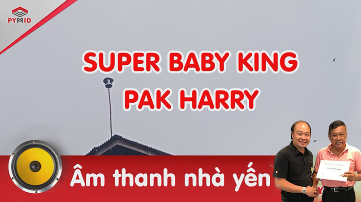 Âm thanh nhà yến Pak Hary