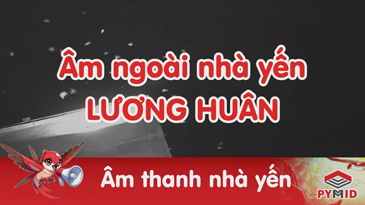 Âm thanh nhà yến lương huân - Năm 2024