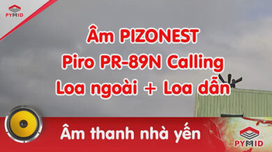 Âm thanh nhà yến Pizonest