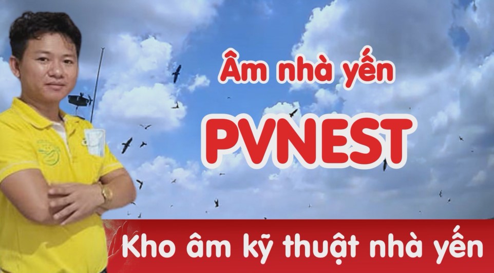 âm thanh nhà yến Pvenst