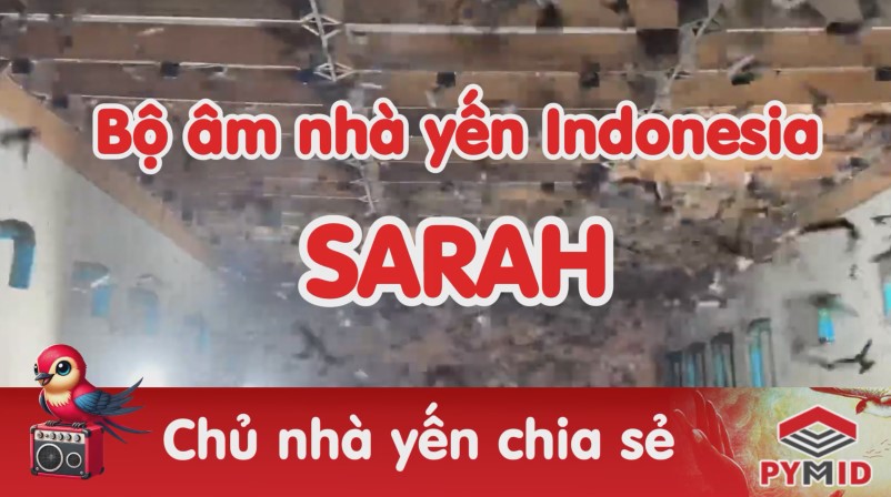 Âm thanh nhà yến indonesia của tác giả Sarah