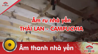 Âm thanh nhà yến Thái Lan, Campuchia - Âm ru SI 1.4