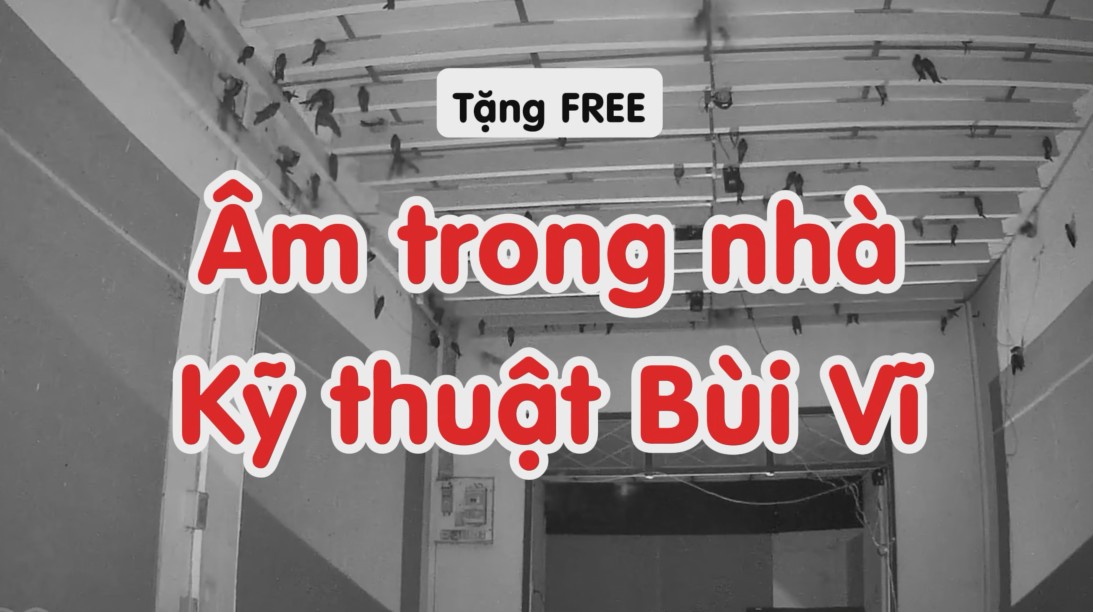 Âm trong nhà yến của kỹ thuật Bùi Vĩ
