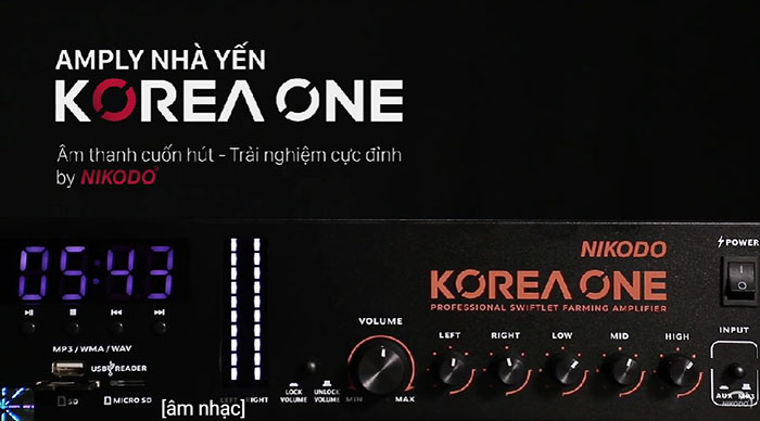 Amply korea one